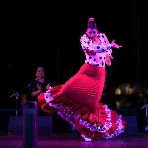 Fotografía de Granate y arena - Manuela la Isleña