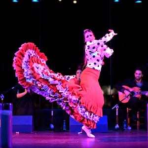 Fotografía de Granate y arena - Manuela la Isleña