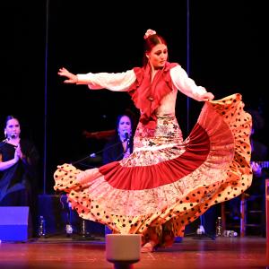 Fotografía de Granate y arena - Manuela la Isleña