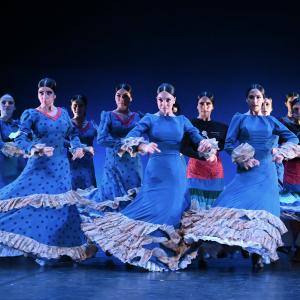 Fotografía de Por bandera (ensayo) - Conservatorio de Danza