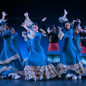 Fotografía de Por bandera (ensayo) - Conservatorio de Danza