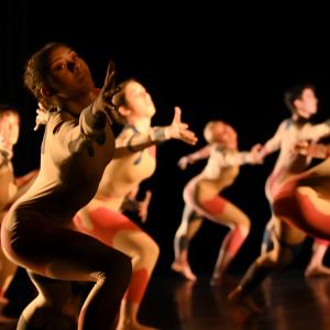 Fotografía de Odami - Conservatorio de Danza