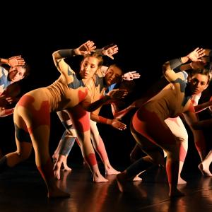 Fotografía de Odami - Conservatorio de Danza