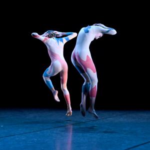 Fotografía de Odami - Conservatorio de Danza