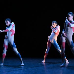 Fotografía de Odami - Conservatorio de Danza