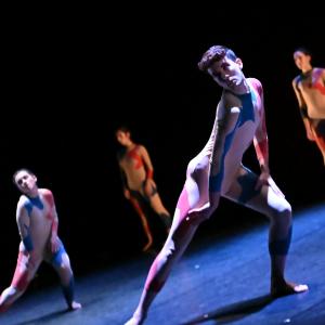 Fotografía de Odami - Conservatorio de Danza