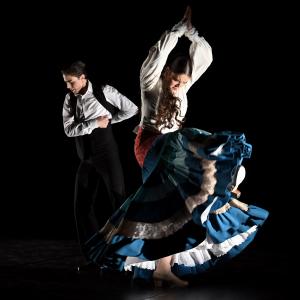 Fotografía de Por bandera - Conservatorio de Danza