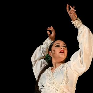 Fotografía de Por bandera - Conservatorio de Danza