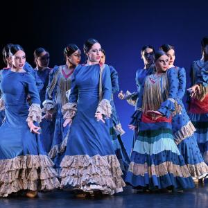 Fotografía de Por bandera - Conservatorio de Danza
