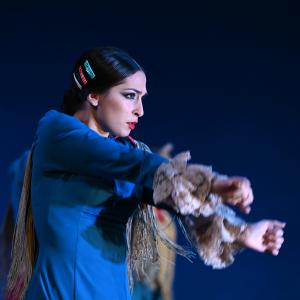 Fotografía de Por bandera - Conservatorio de Danza