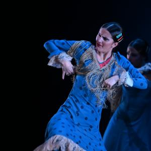 Fotografía de Por bandera - Conservatorio de Danza