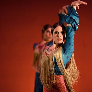 Fotografía de Por bandera - Conservatorio de Danza