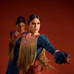 Fotografía de Por bandera - Conservatorio de Danza