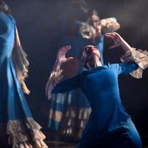 Fotografía de Por bandera - Conservatorio de Danza