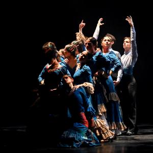 Fotografía de Por bandera - Conservatorio de Danza