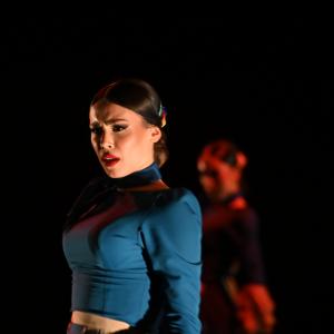 Fotografía de Por bandera - Conservatorio de Danza