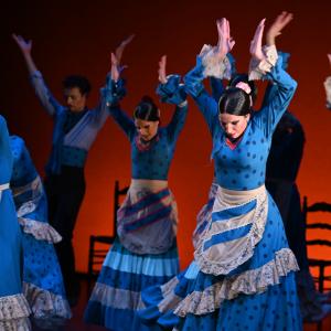Fotografía de Por bandera - Conservatorio de Danza