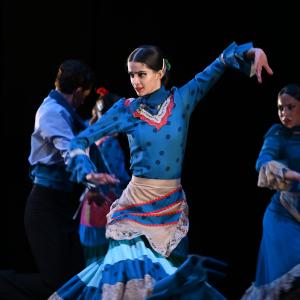 Fotografía de Por bandera - Conservatorio de Danza