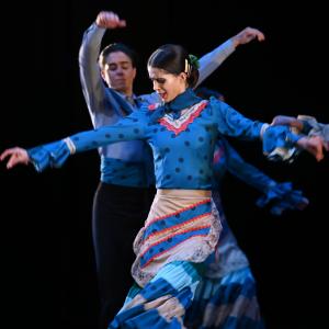 Fotografía de Por bandera - Conservatorio de Danza