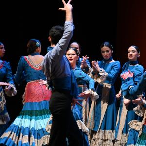 Fotografía de Por bandera - Conservatorio de Danza
