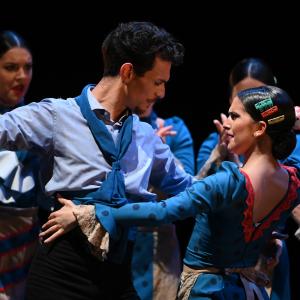 Fotografía de Por bandera - Conservatorio de Danza