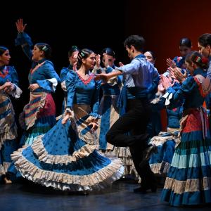 Fotografía de Por bandera - Conservatorio de Danza
