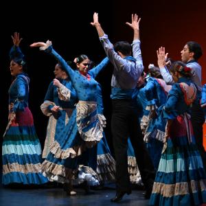Fotografía de Por bandera - Conservatorio de Danza