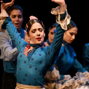 Fotografía de Por bandera - Conservatorio de Danza