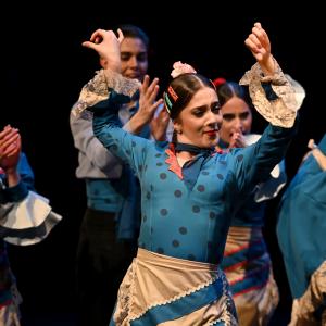 Fotografía de Por bandera - Conservatorio de Danza