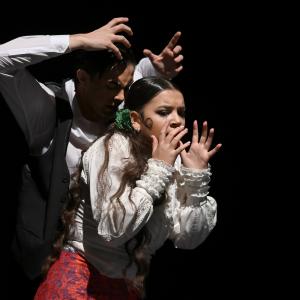 Fotografía de Por Bandera - Conservatorio de Danza