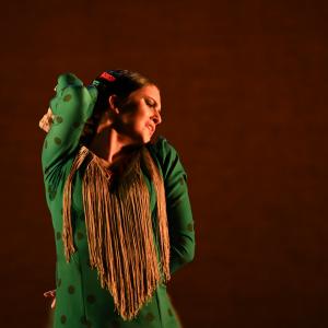 Fotografía de Por Bandera - Conservatorio de Danza