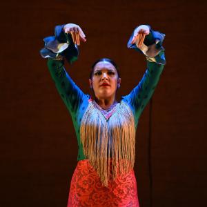 Fotografía de Por Bandera - Conservatorio de Danza