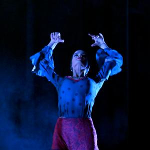 Fotografía de Por Bandera - Conservatorio de Danza