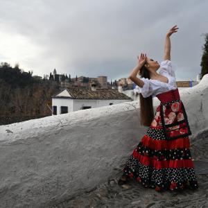 Fotografía de Así se hizo: Vídeo de fin de año (parte 2) - Conservatorio de Danza