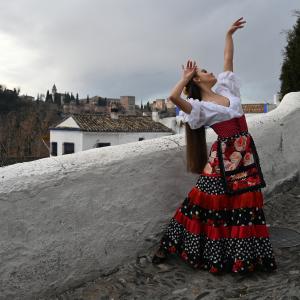 Fotografía de Así se hizo: Vídeo de fin de año (parte 2) - Conservatorio de Danza