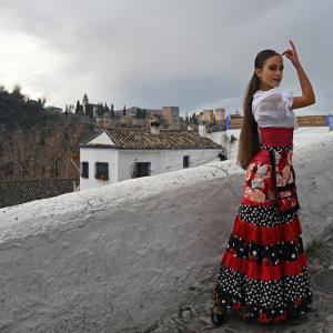 Fotografía de Así se hizo: Vídeo de fin de año (parte 2) - Conservatorio de Danza