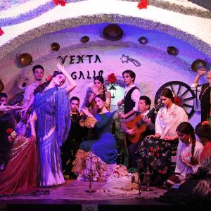 Fotografía de Así se hizo: Vídeo de fin de año (parte 2) - Conservatorio de Danza