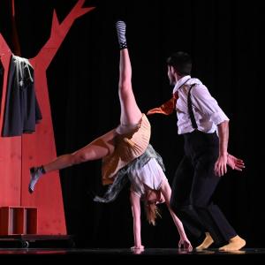 Fotografía de El viaje de Alicia - Cía Danza Fernando Hurtado