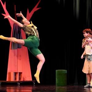 Fotografía de El viaje de Alicia - Cía Danza Fernando Hurtado
