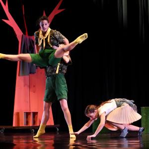 Fotografía de El viaje de Alicia - Cía Danza Fernando Hurtado