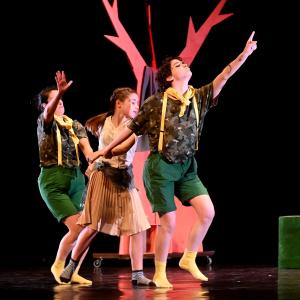 Fotografía de El viaje de Alicia - Cía Danza Fernando Hurtado