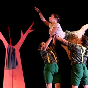 Fotografía de El viaje de Alicia - Cía Danza Fernando Hurtado