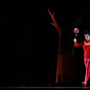 Fotografía de El viaje de Alicia - Cía Danza Fernando Hurtado