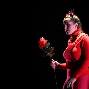 Fotografía de El viaje de Alicia - Cía Danza Fernando Hurtado