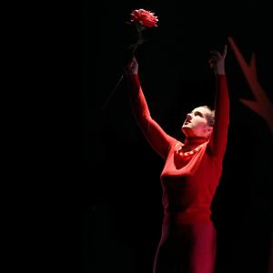 Fotografía de El viaje de Alicia - Cía Danza Fernando Hurtado