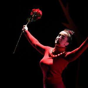 Fotografía de El viaje de Alicia - Cía Danza Fernando Hurtado