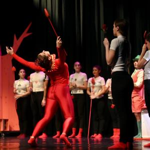 Fotografía de El viaje de Alicia - Cía Danza Fernando Hurtado