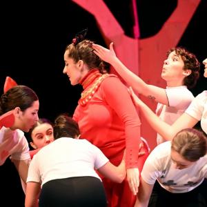 Fotografía de El viaje de Alicia - Cía Danza Fernando Hurtado