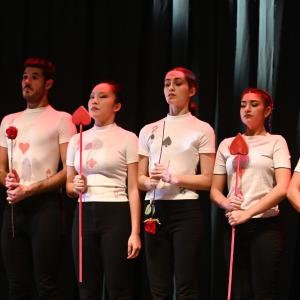 Fotografía de El viaje de Alicia - Cía Danza Fernando Hurtado