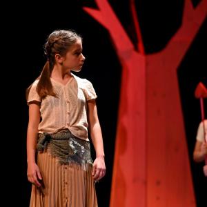 Fotografía de El viaje de Alicia - Cía Danza Fernando Hurtado